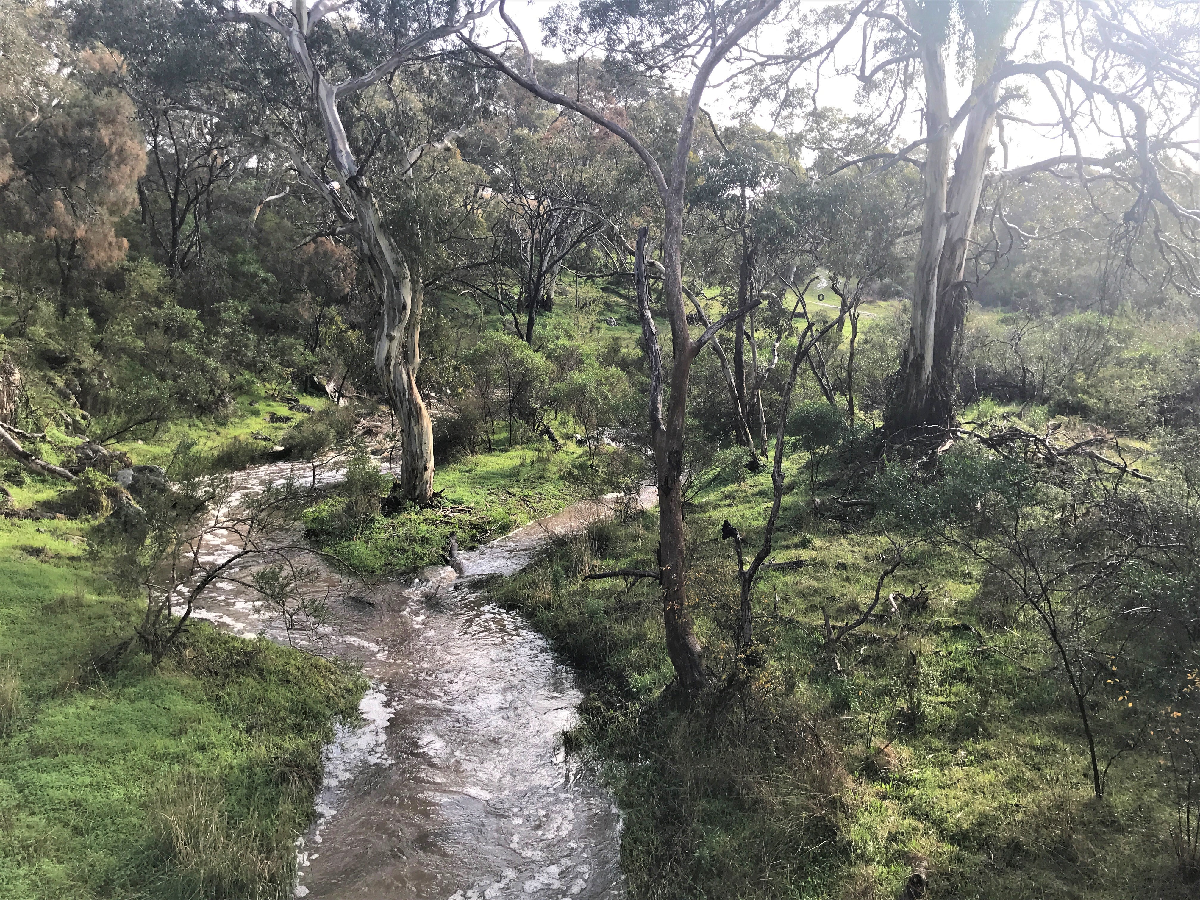 1 Fleurieu coastal cover