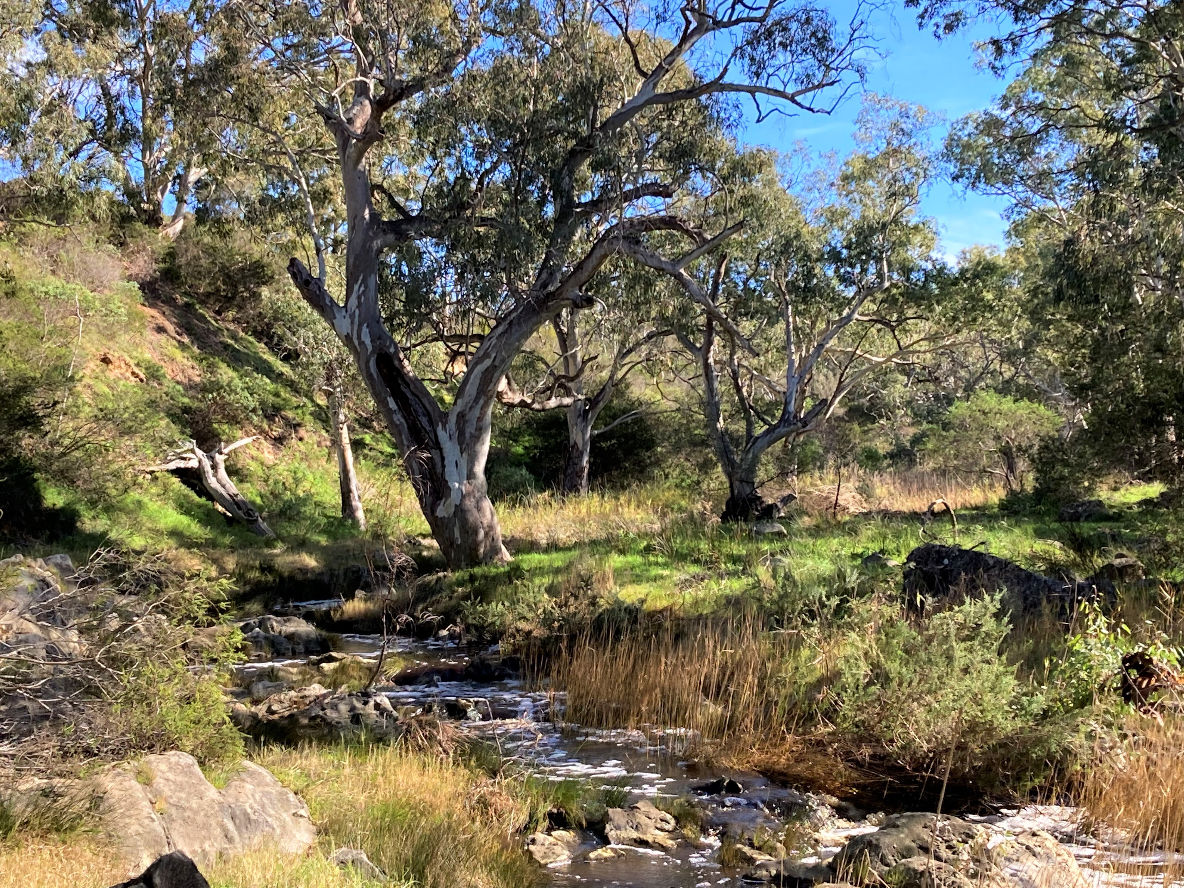 12 Currency and Deep Creeks