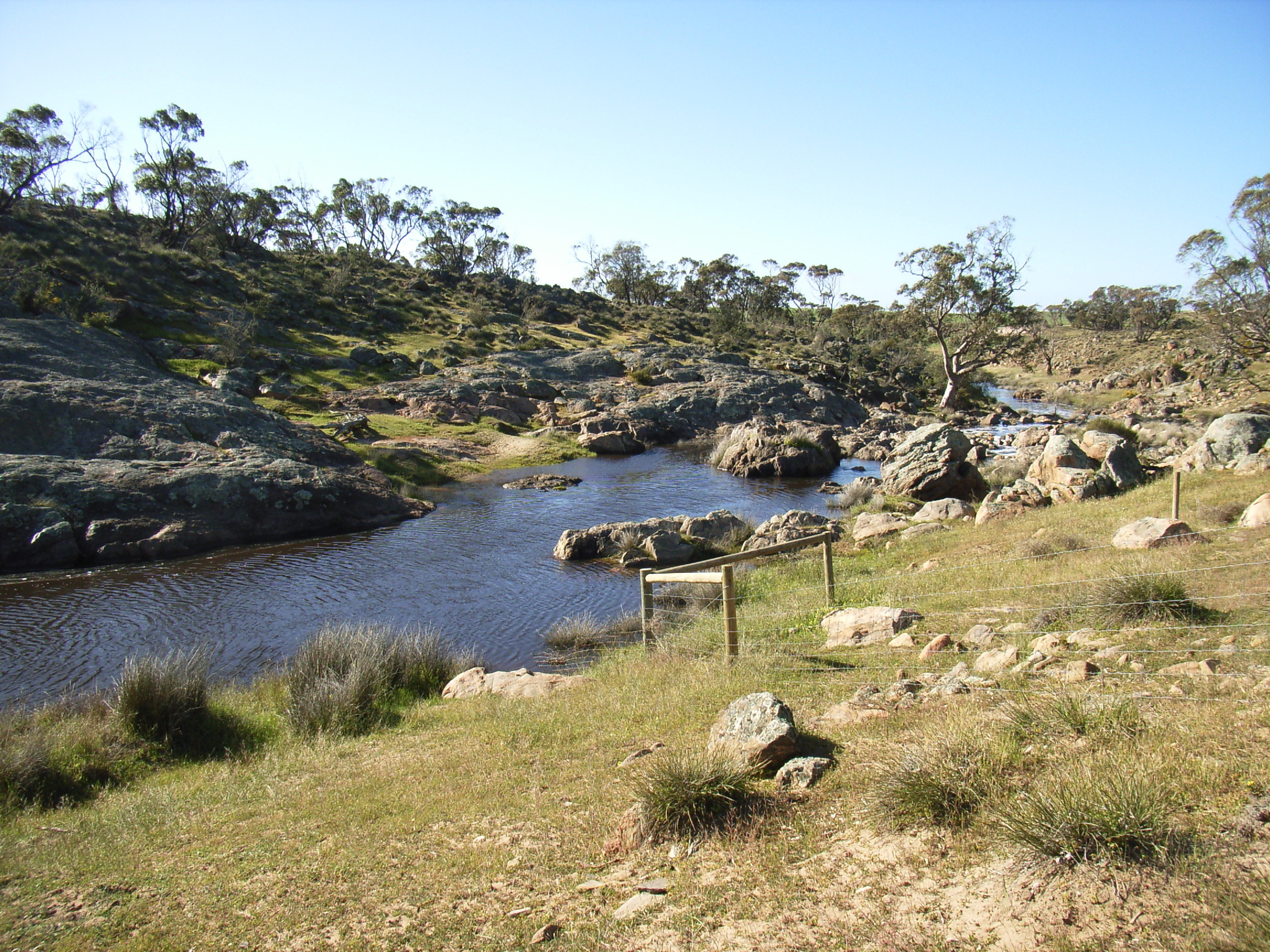 15 Reedy Creek