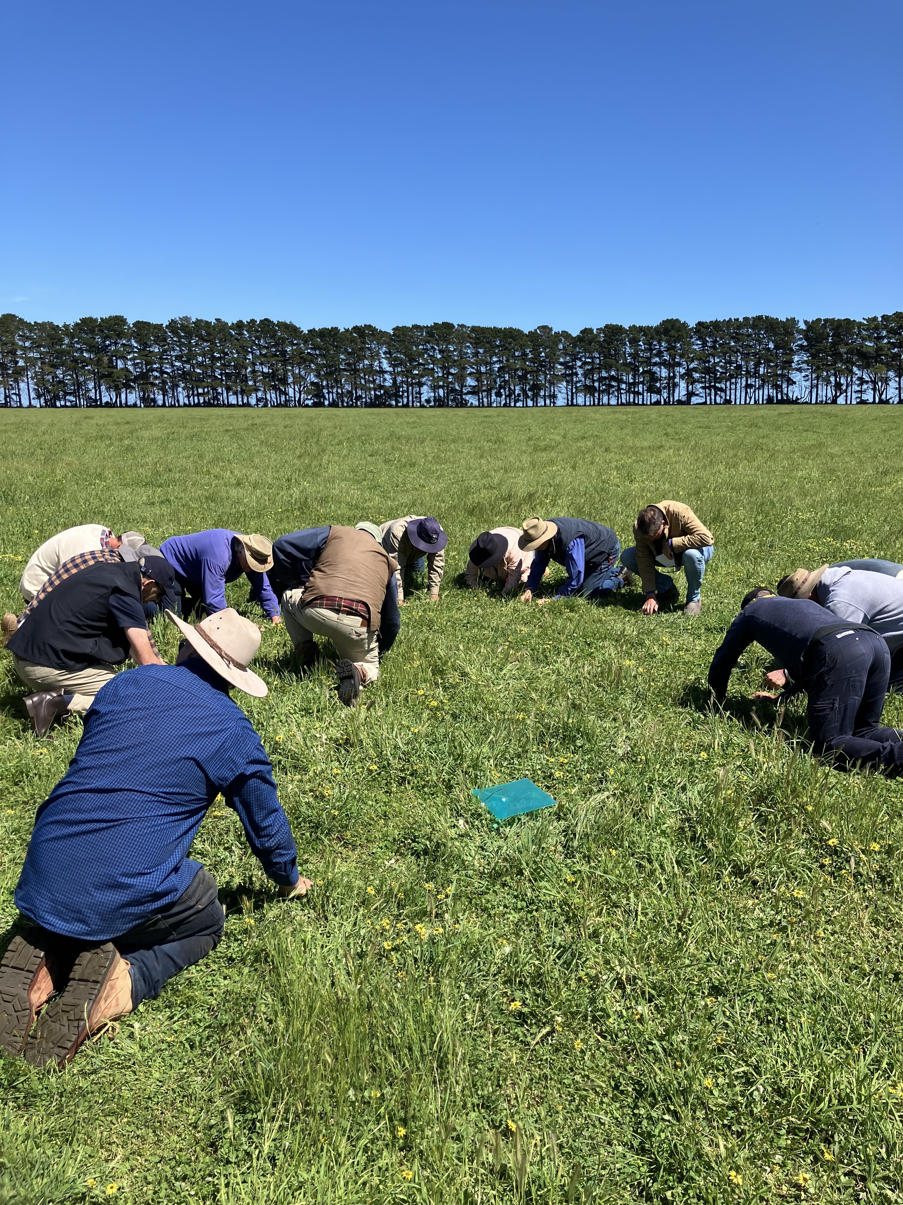 18 Farmers inspecting the soil up close