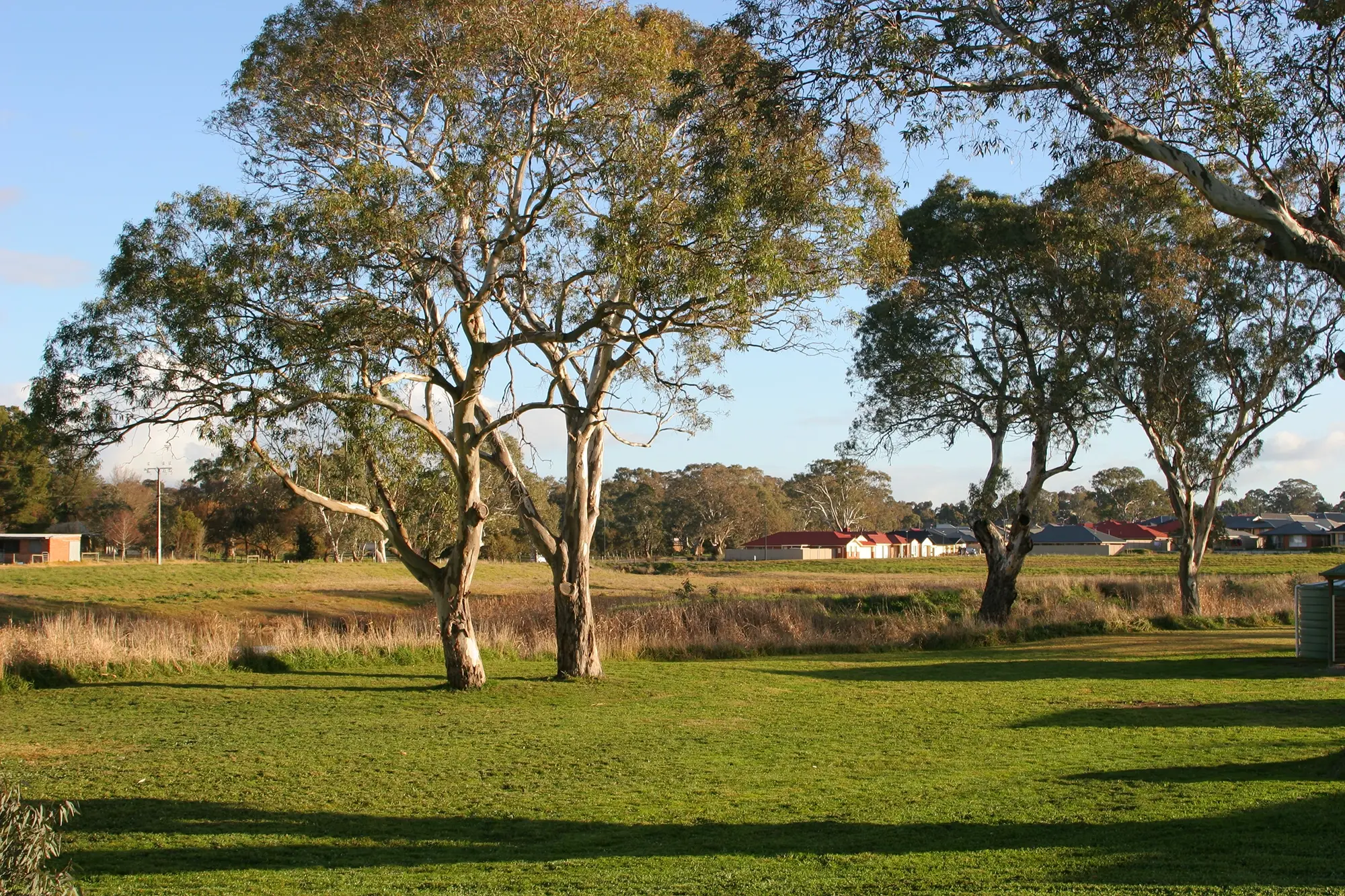 Adelaide Hills and Fleurieu Region