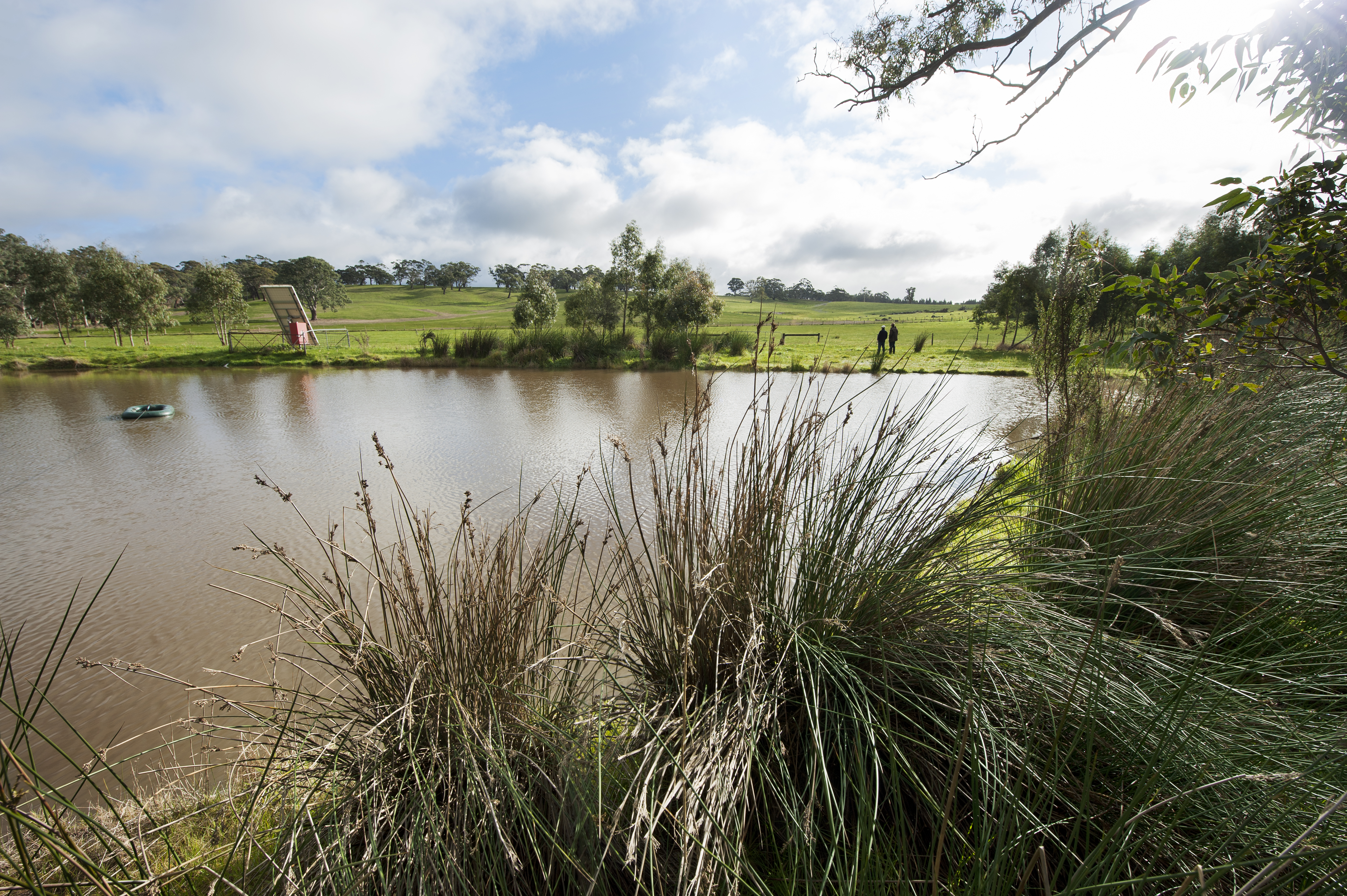 Alex Candetti property 9