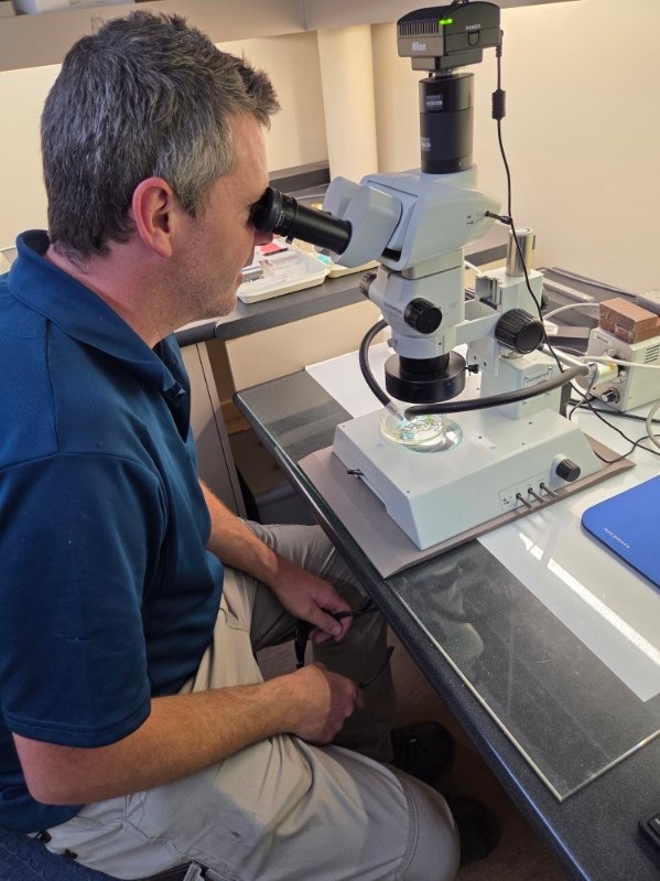 Algae Microscope Stewardship News