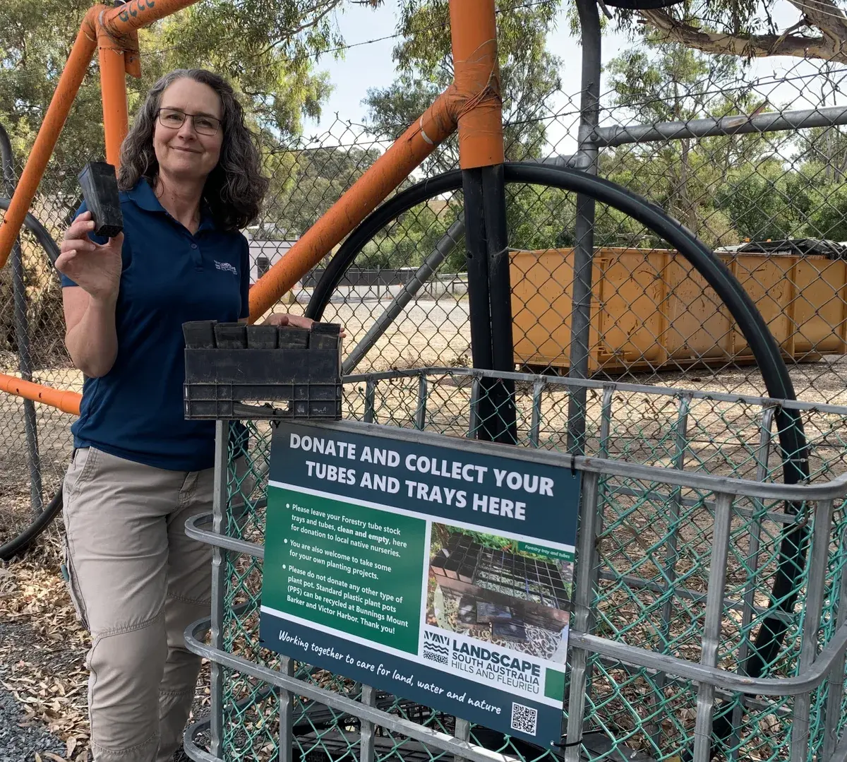 BJ and plastic