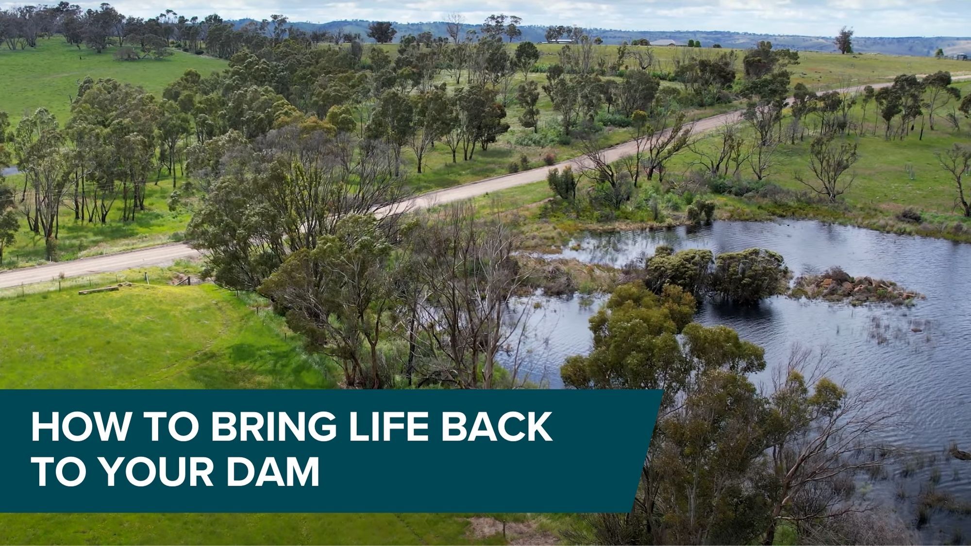 Bring life back to your dam thumbnail