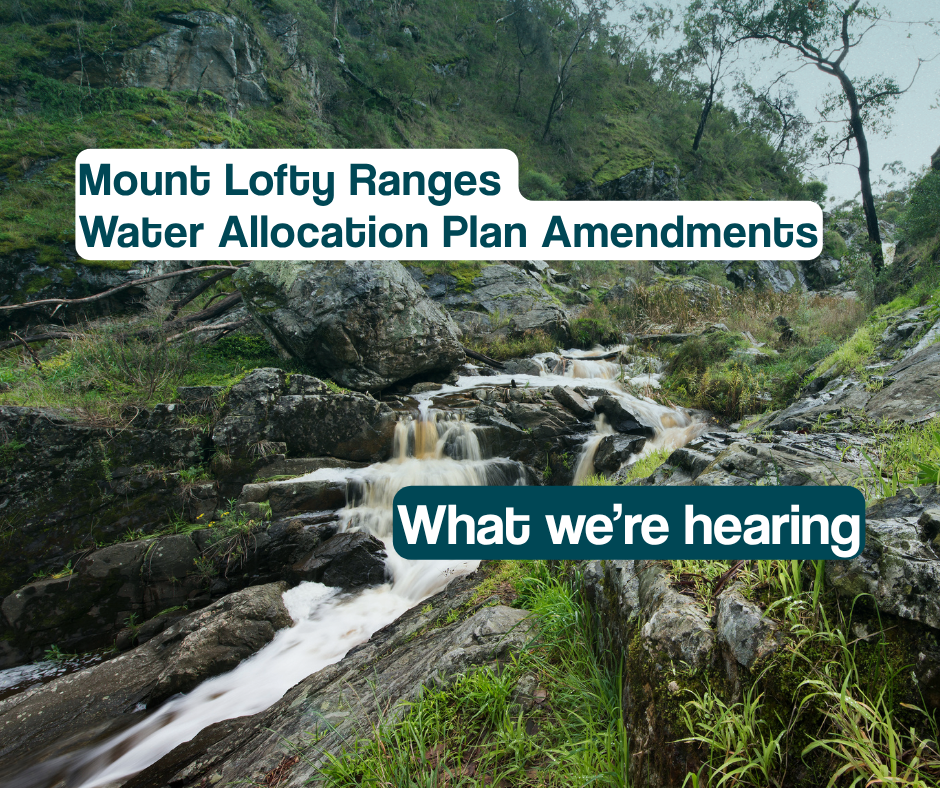 Catchment Conversations vid