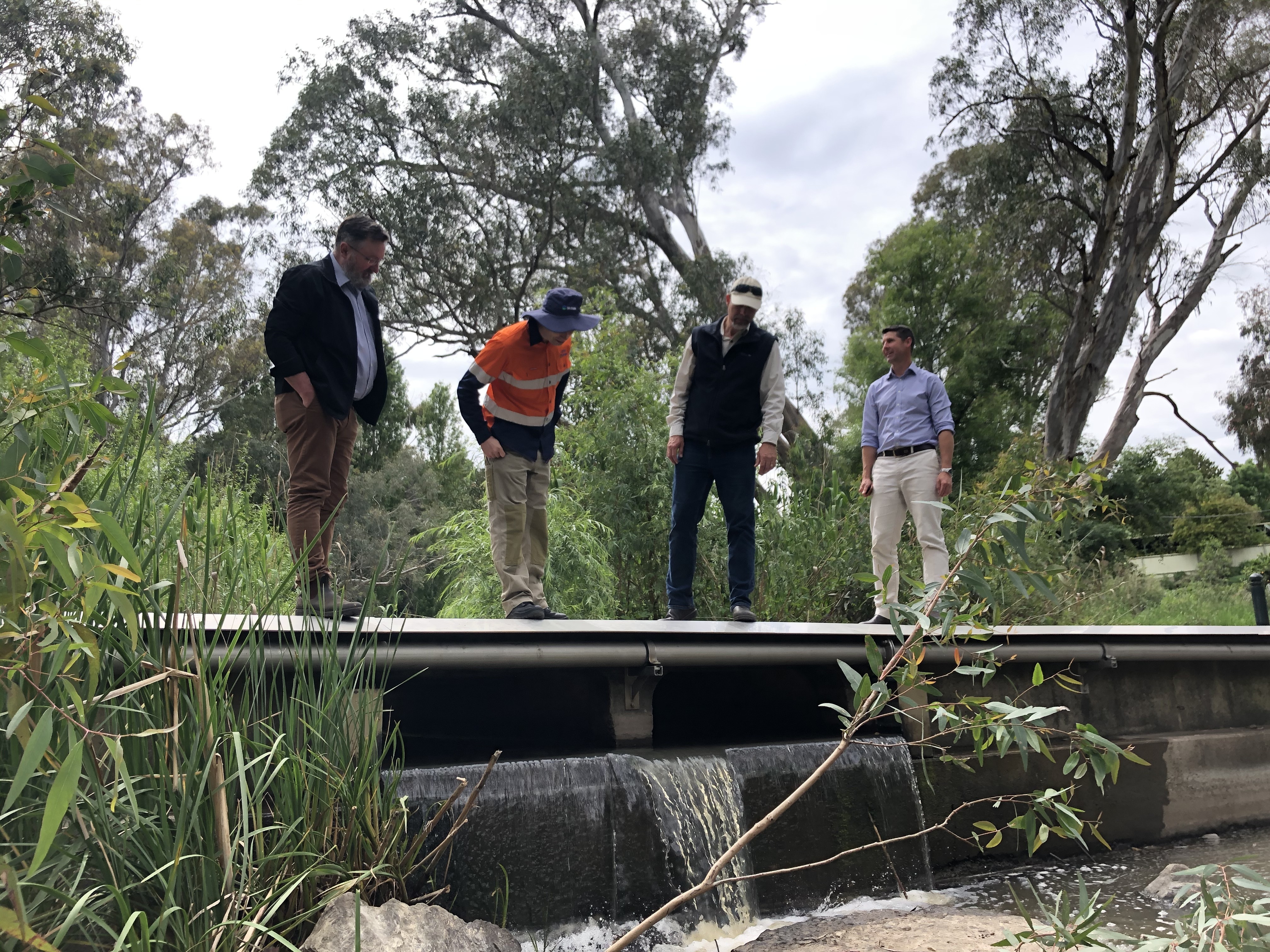 Clarendon Bridge 7 221020 S Schoofs