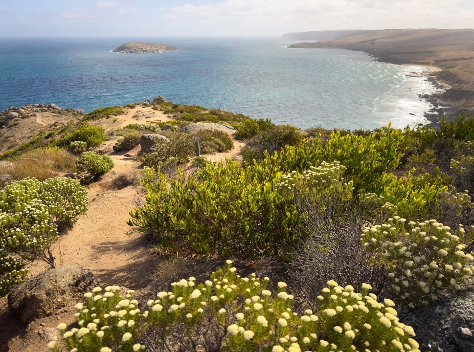 Coastal Action Plan