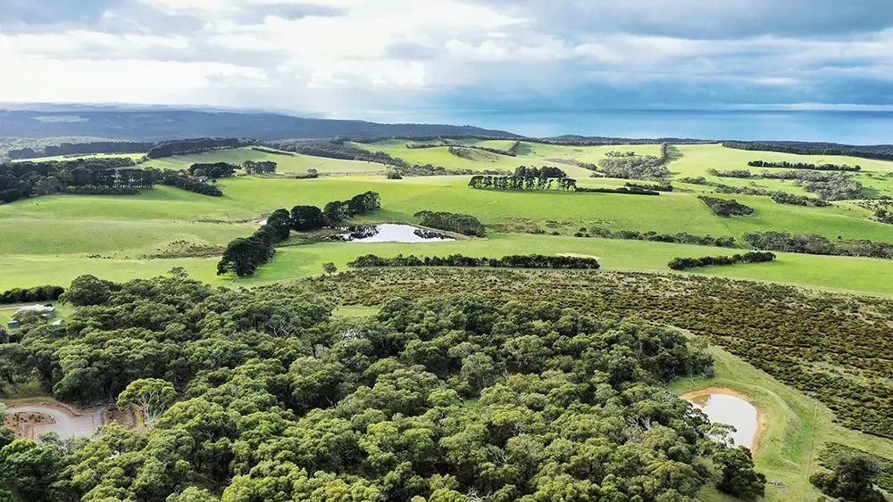 DJI 0851 1000px