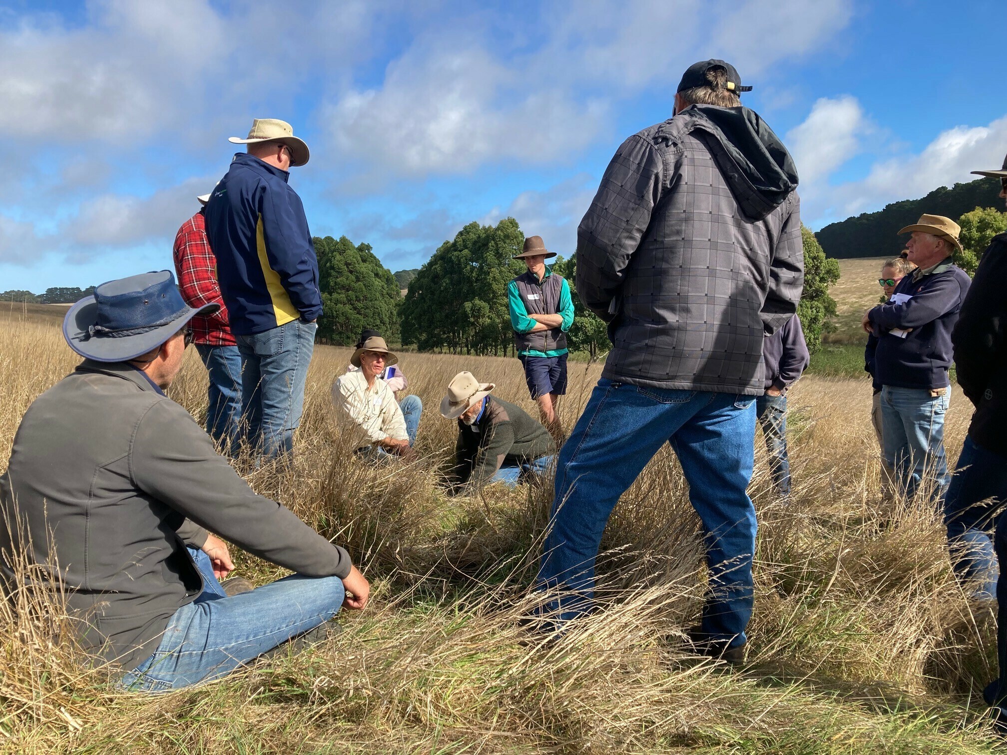 Deep Creek field day Regenerative Agriculture
