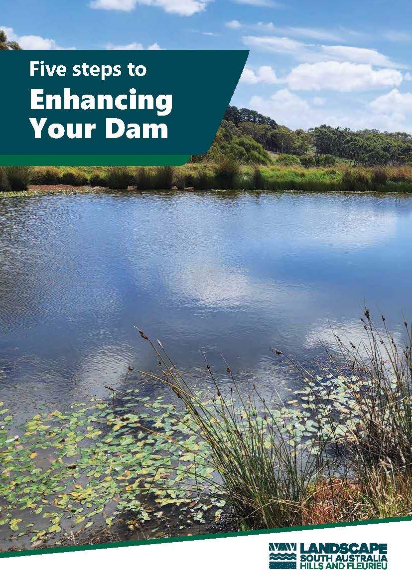 Five Steps to Enhancing Your Dam Cover