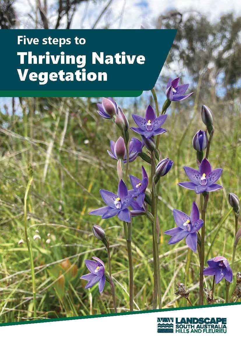 Five Steps to Thriving Native Vegetation 2025 Front Cover