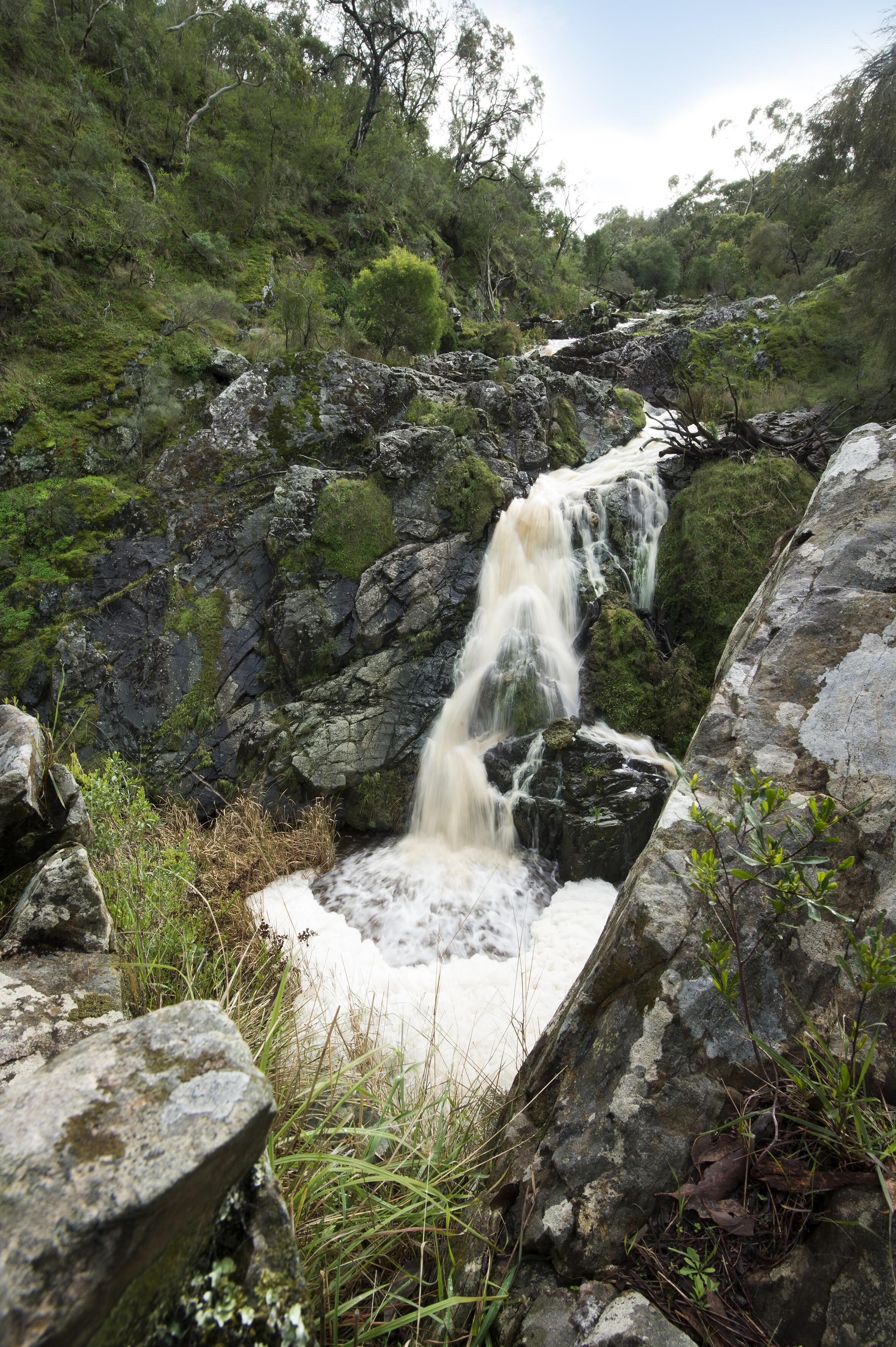 Hindmarsh falls 3