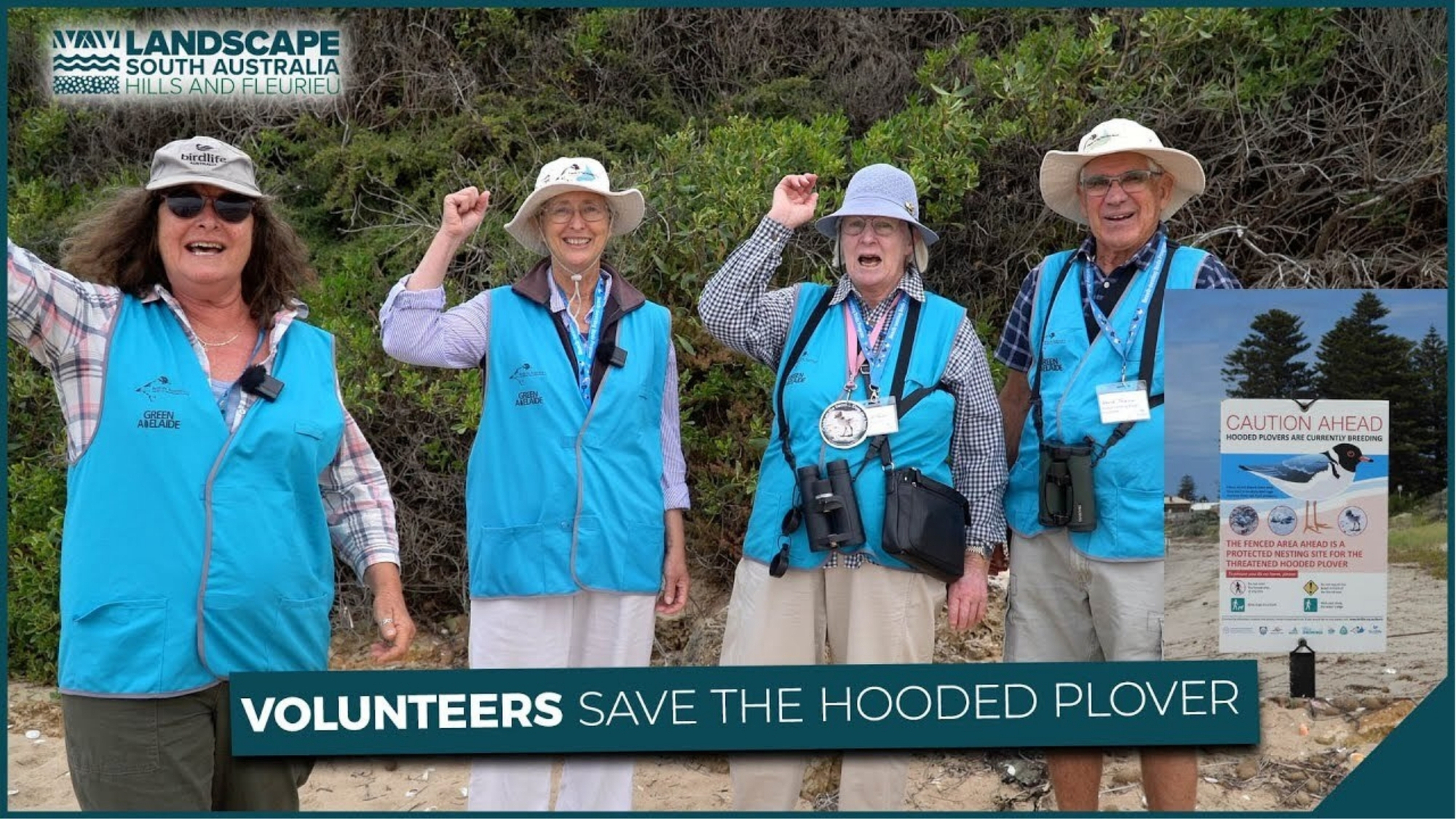 Hooded Plover Volunteers Thumbnail