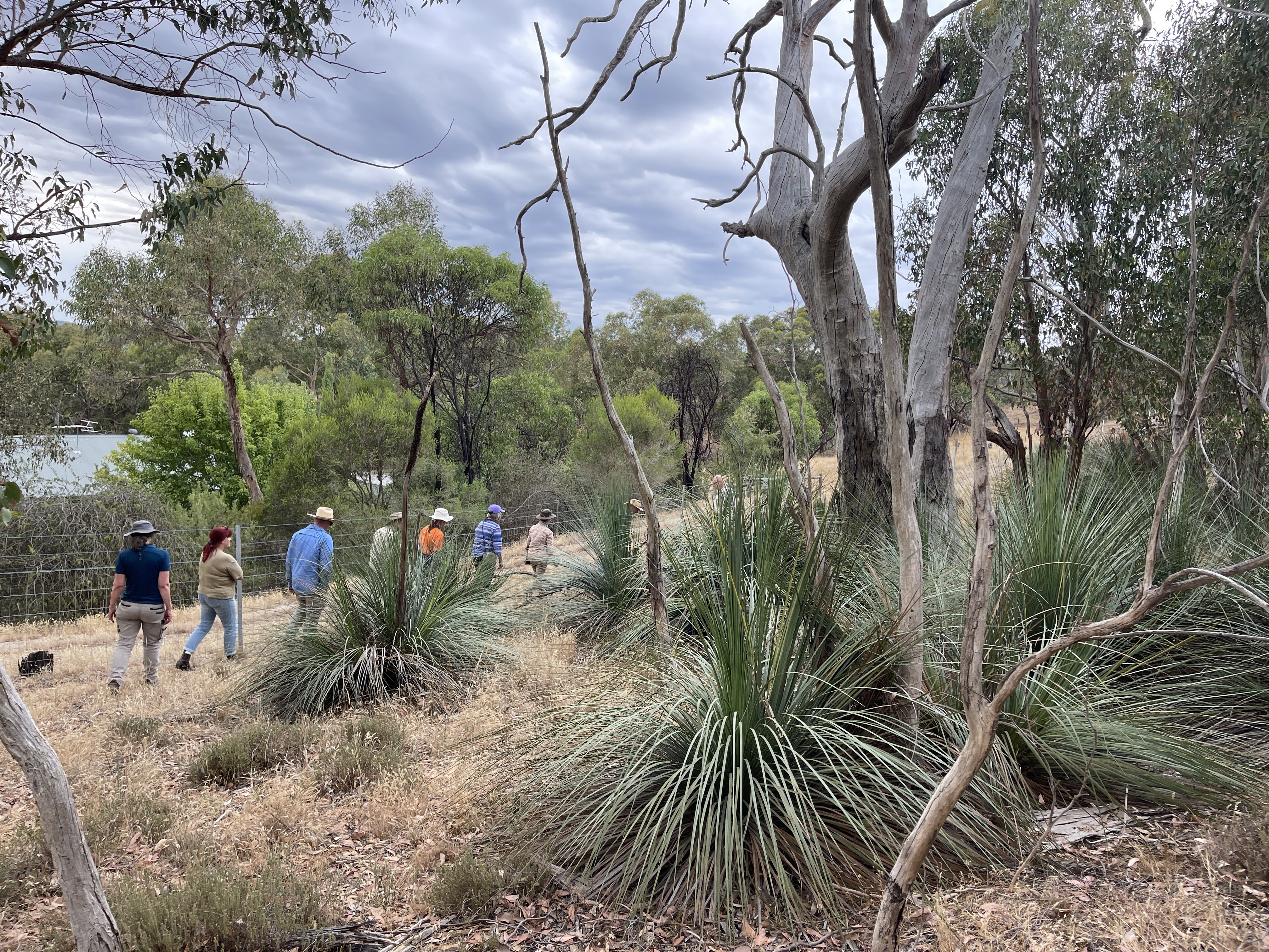 IMG 9827