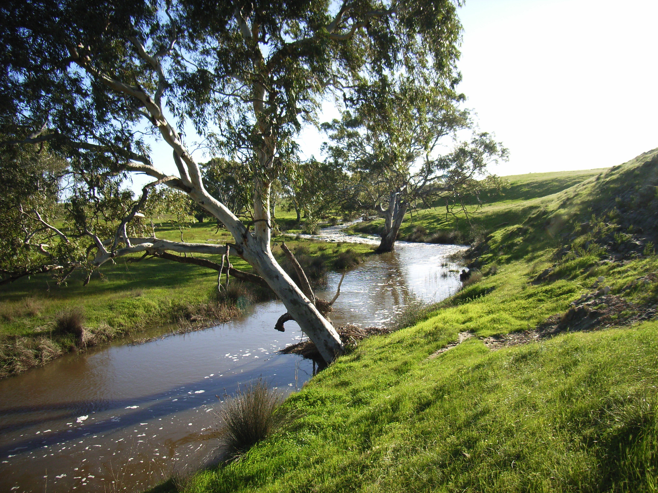 Lower Bremer River near Bletchley