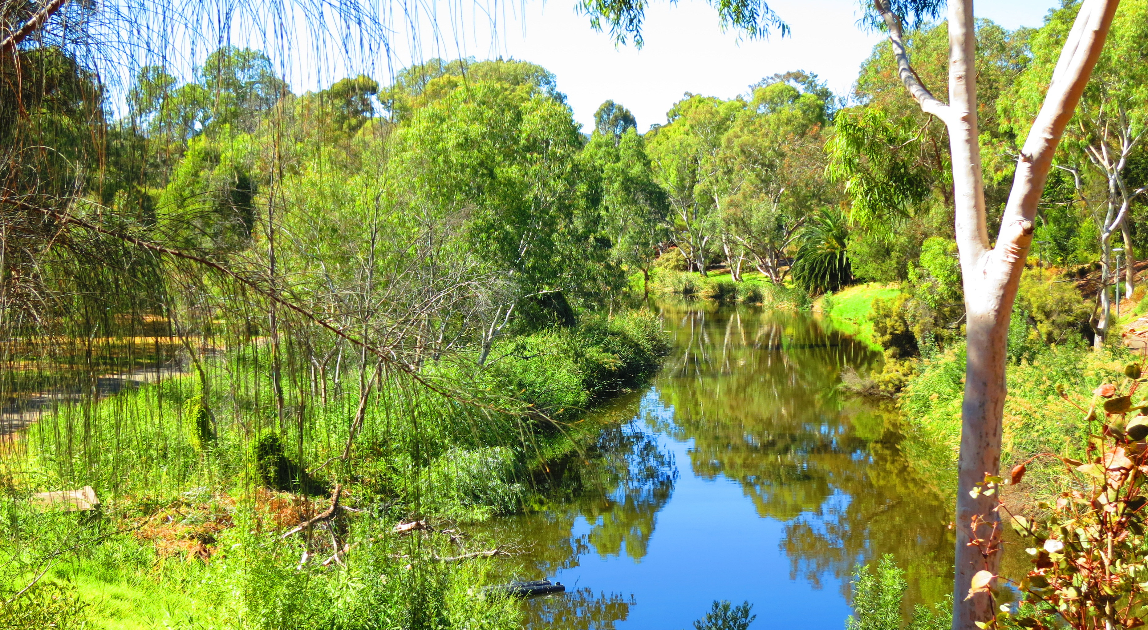 River Torrens shutterstock 1255806721