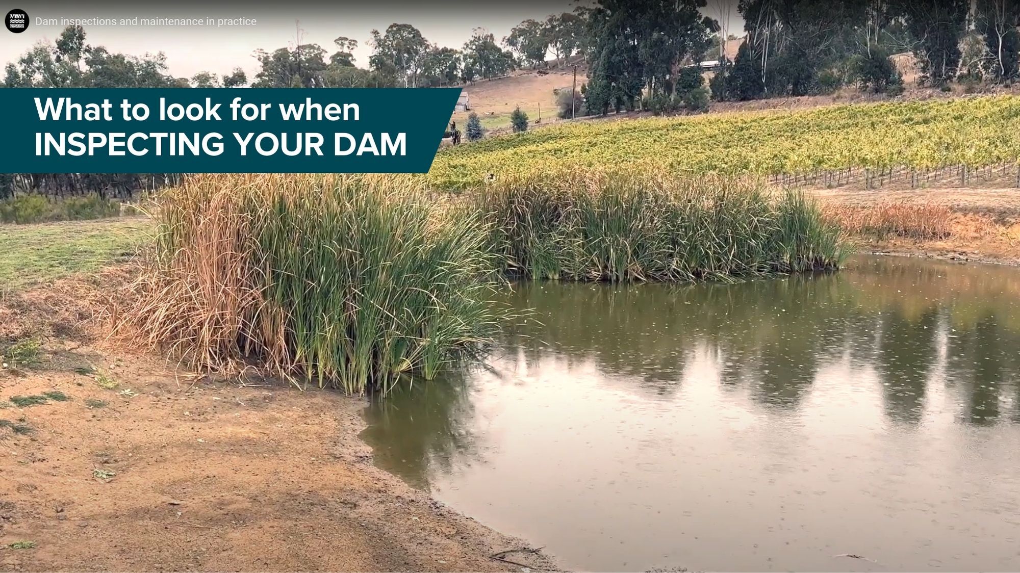 Video Thumbnail Dam Inspections