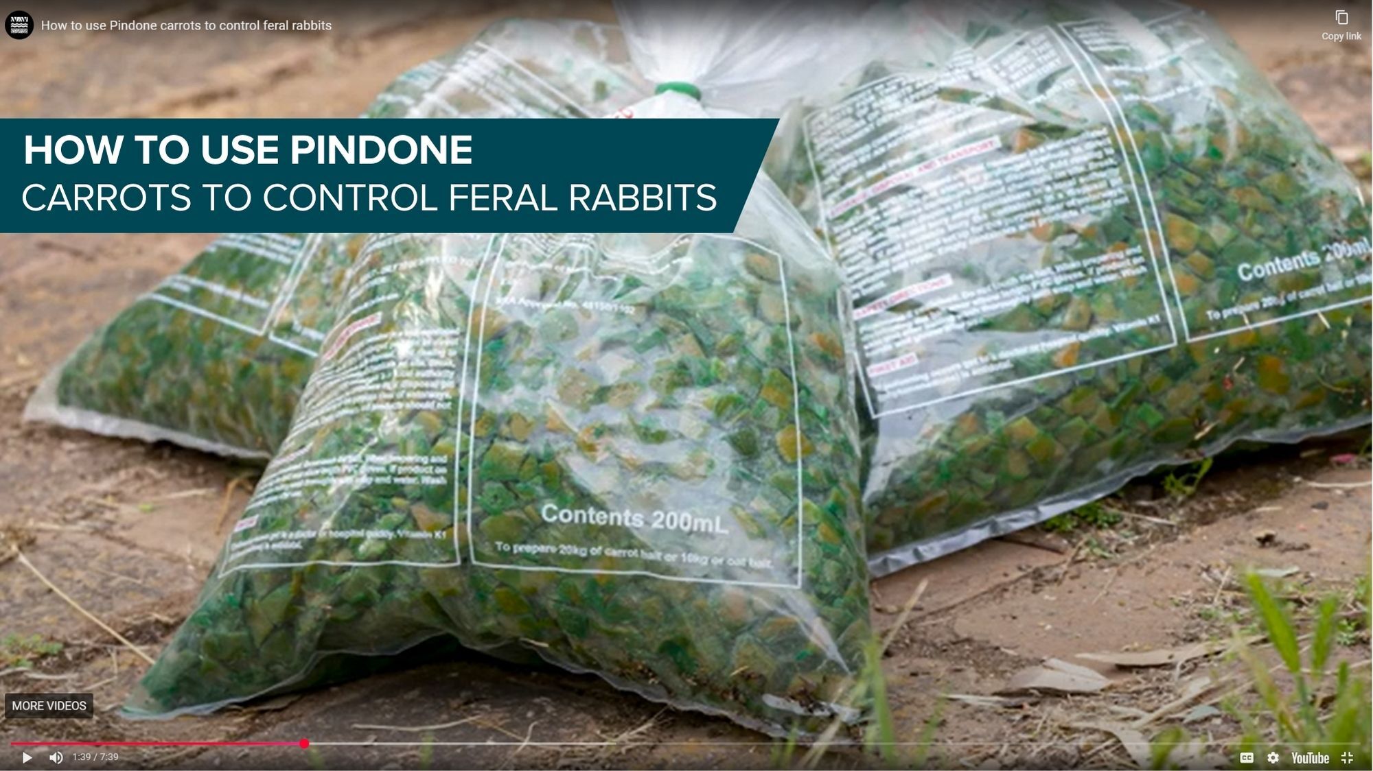 Video Thumbnail Pindone Carrots