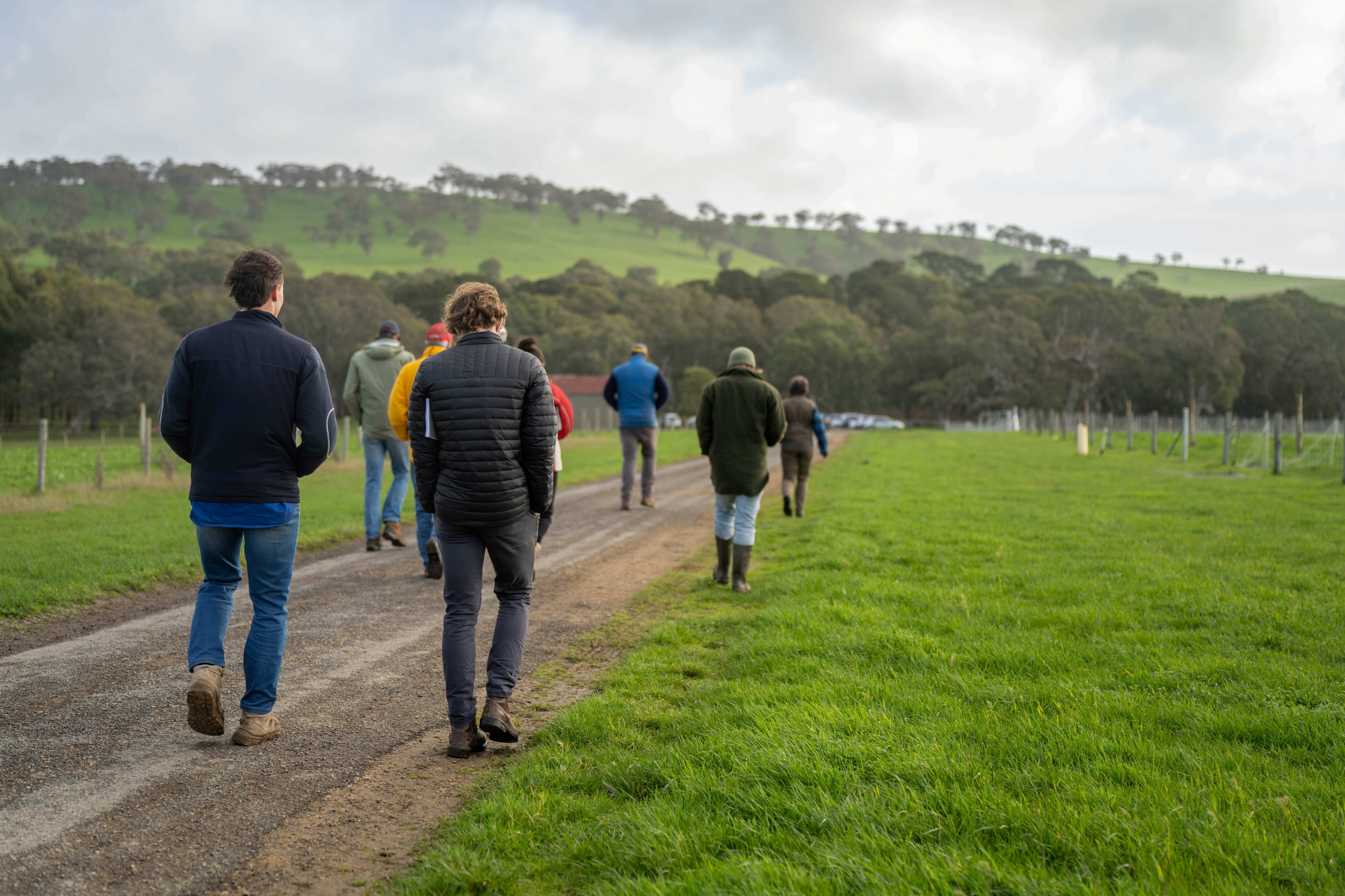 Farm walk shutterstock 2511575891