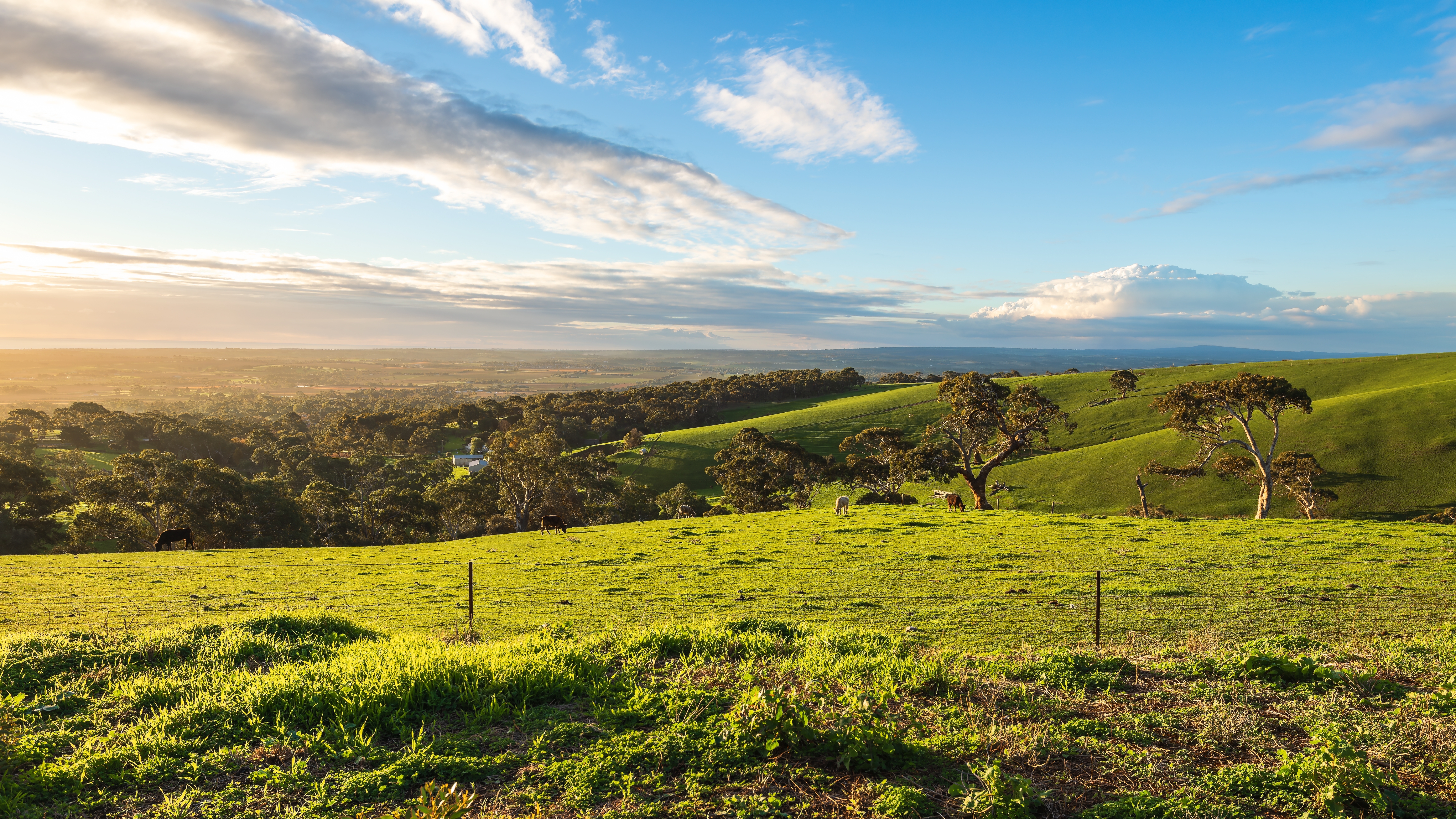 Willunga Hill green farmlands during winter season from above, South Australia