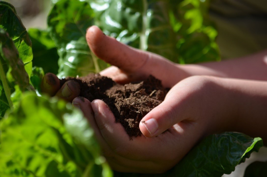 Hands with soil
