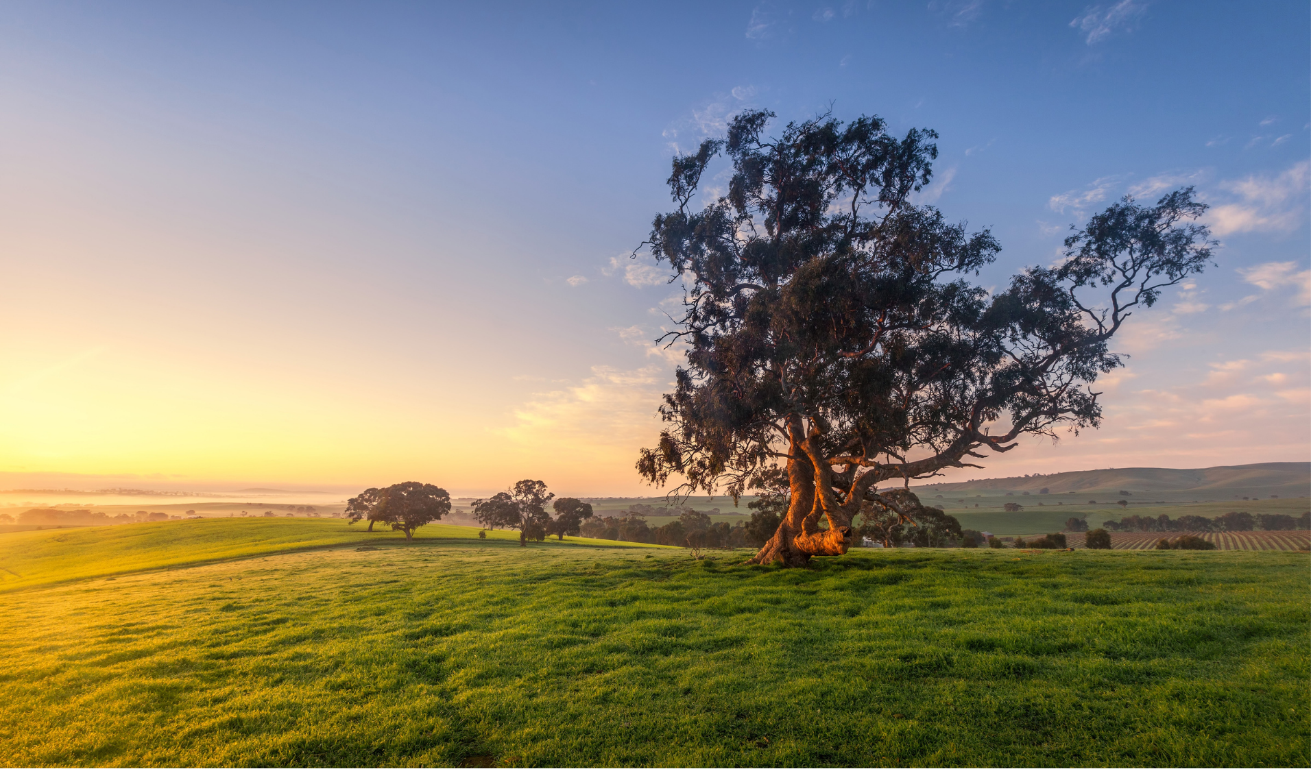 Landscape pic
